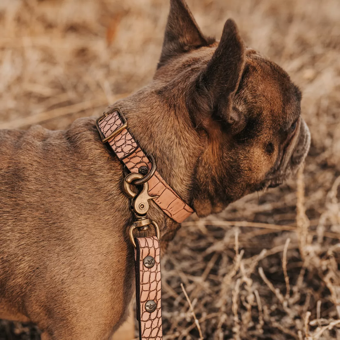 FREEBIRD STORES Dog Collar Pink Croco Sale