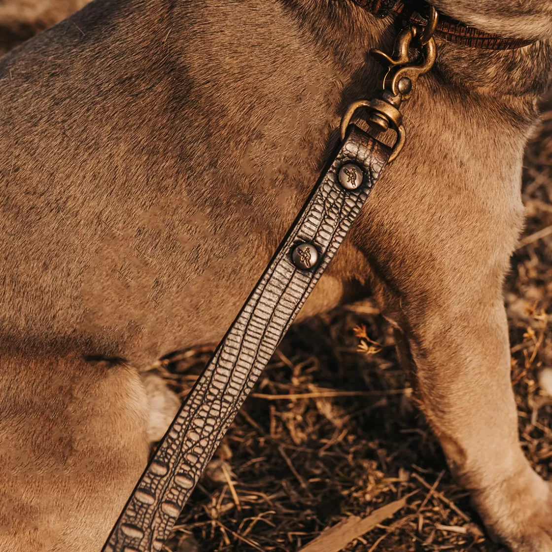 FREEBIRD STORES Dog Leash Brown Distressed Shop