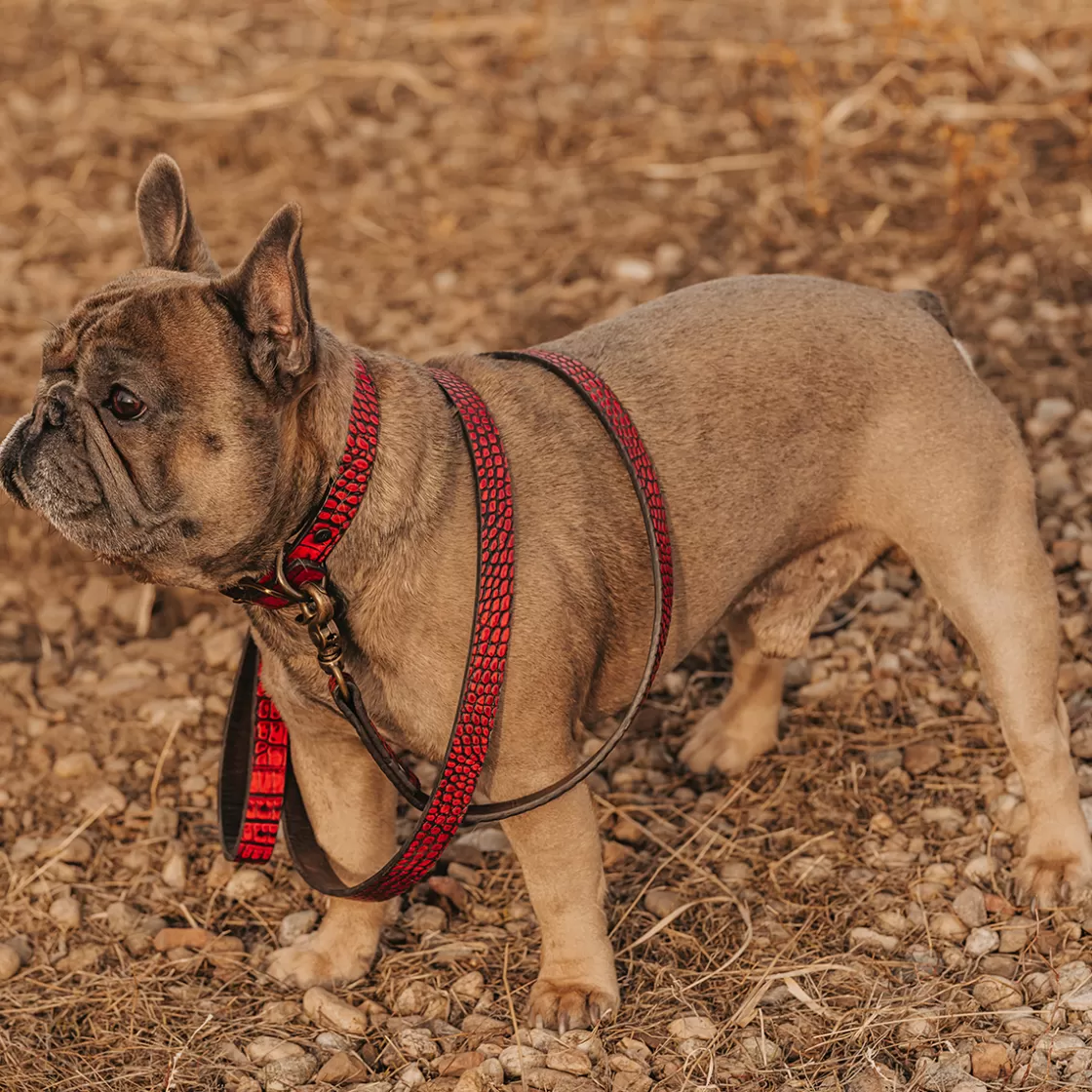 FREEBIRD STORES Dog Leash Red Croco Hot